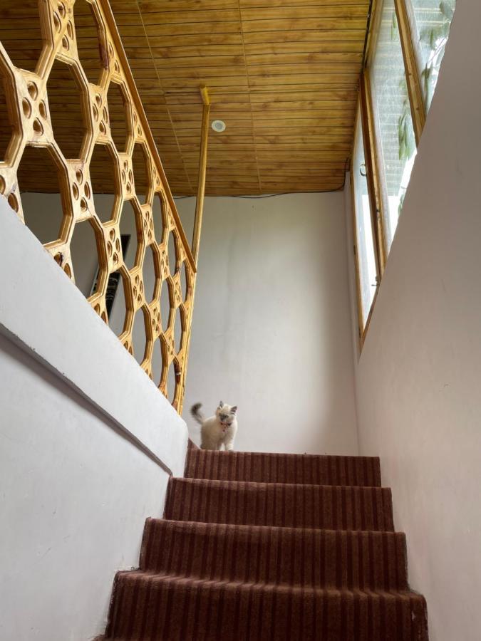 Gaywoo Guest House Лех Екстер'єр фото